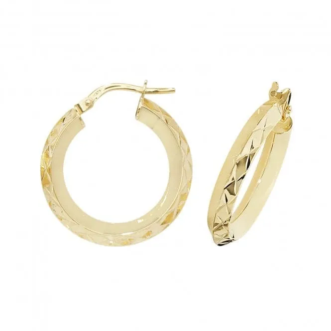 9ct Yellow Gold Oval Hoop Earrings ER1018