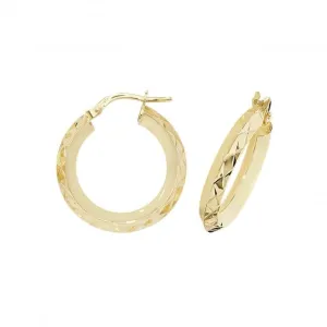 9ct Yellow Gold Oval Hoop Earrings ER1018